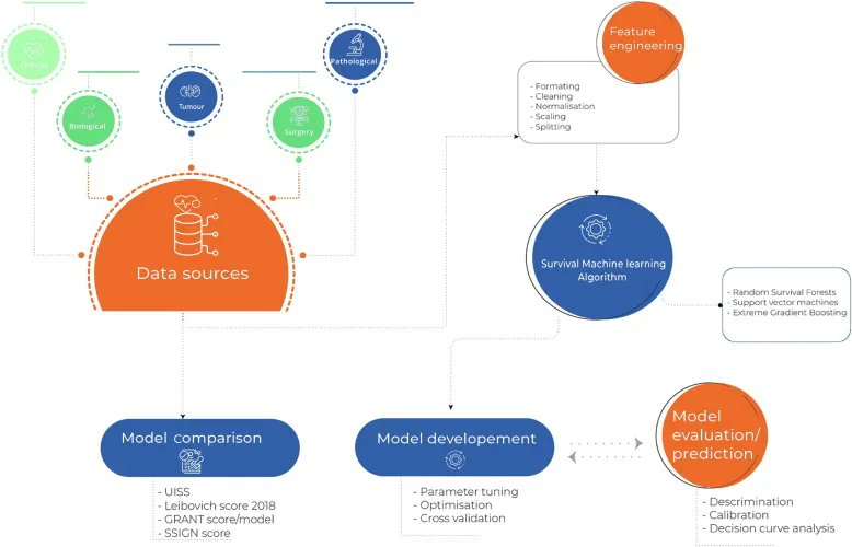 European Urology Oncology tweet media