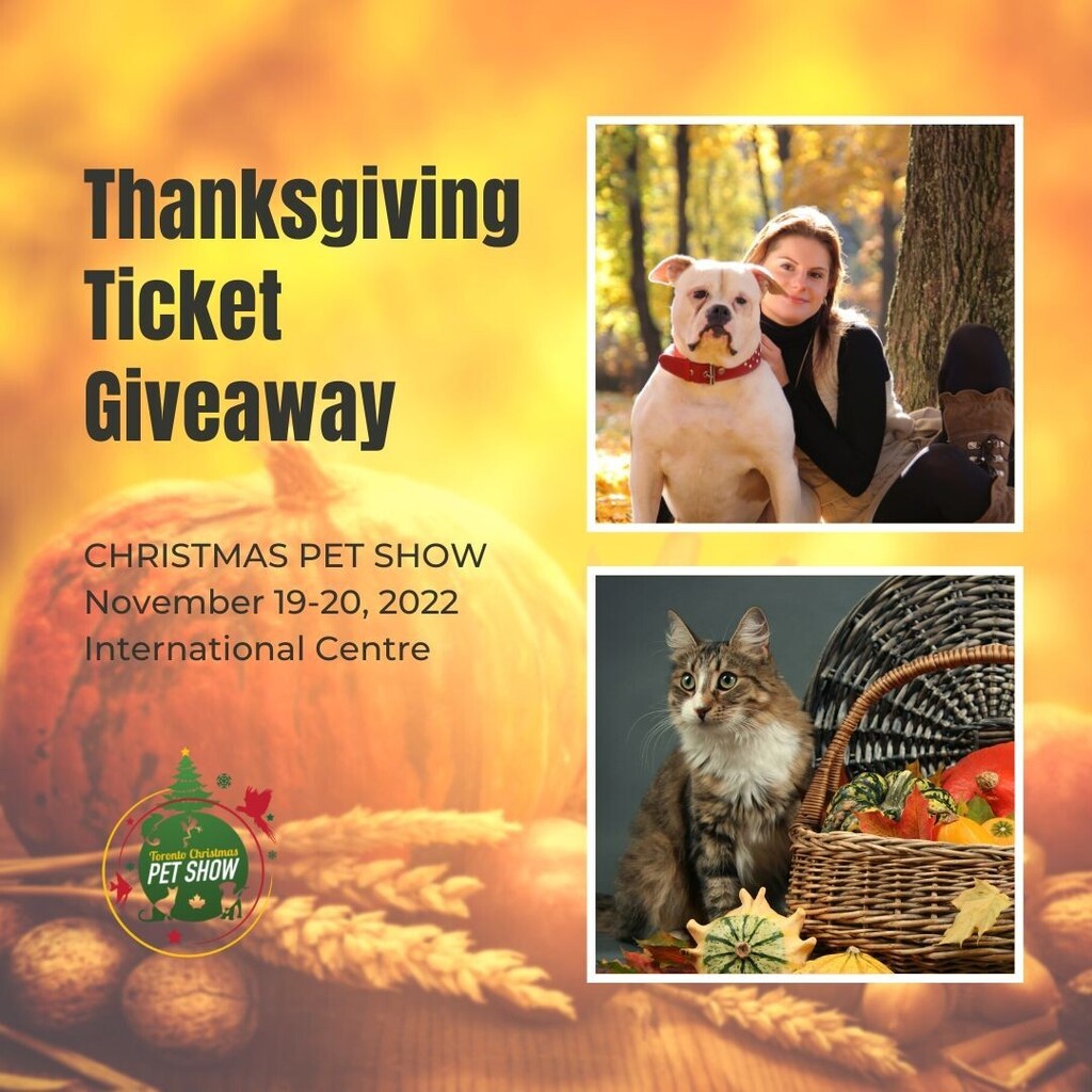 CanadaPetExpo's tweet photo. 🍂 Happy Thanksgiving Weekend! 🎃

Canada Pet Expo is giving you the chance to win a pair of tickets for our Toronto Christmas Pet Show! 

HOW TO ENTER :
📷 DM us photos of your pets or you and your lovely pets with an Autumn theme! 🍂 (ins)

You have 4 days throughout the w… https://t.co/Wyl3LWNaA8