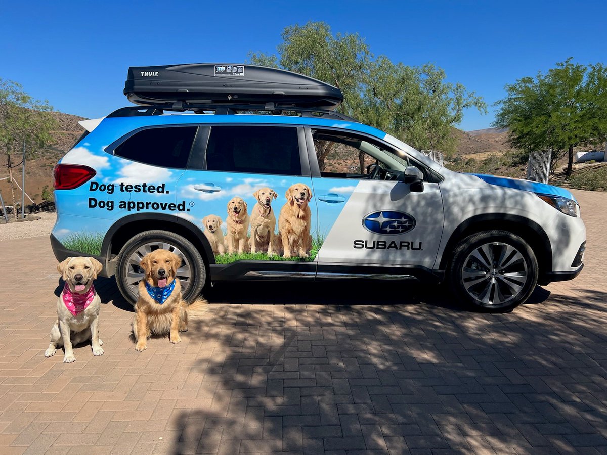 subaru_usa's tweet photo. What better way to celebrate #WorldSmileDay than w/ our Subaru Barkley family 🐶❤️! Thank you to Sarah &amp; her team at Working Wildlife for keeping a smile on these stars 😄 What’s your favorite Subaru Dog Tested commercial? #SubaruLovesPets #MakeADogsDay (📸: Sarah June Schwaiger) https://t.co/wysY0KC5Jc