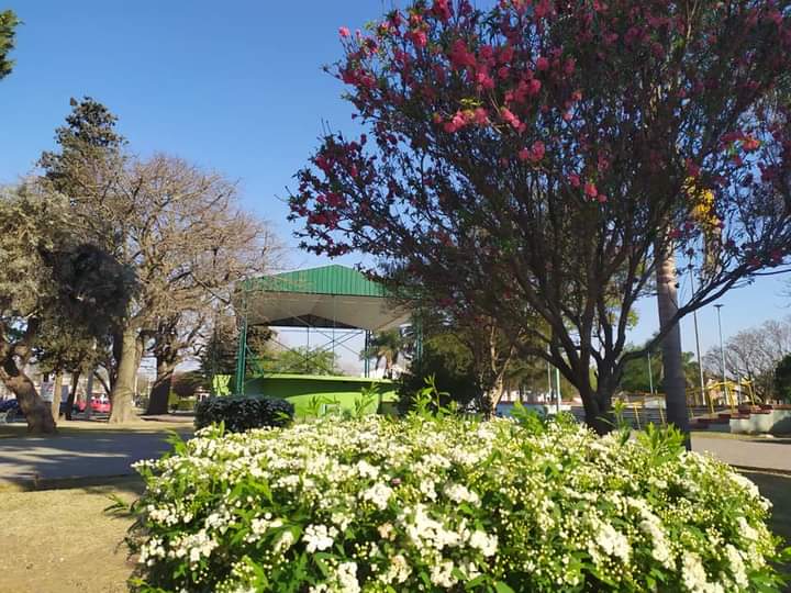 lucasgvaliente's tweet image. #Luque #Primavera2022 #EspaciosVerdes
👍Llegó la primavera en #Luque y los espacios verdes lucen coloridos!!.👏