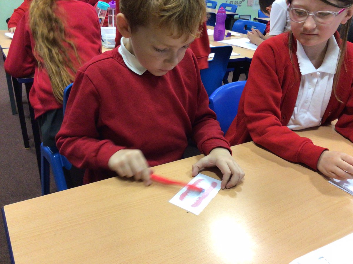 TigerClass1's tweet photo. Super science this week π observing over time to find out which liquids are best for the enamel on our teeth and comparing toothpastes π #ScienceWJS https://t.co/o3JcSezc22