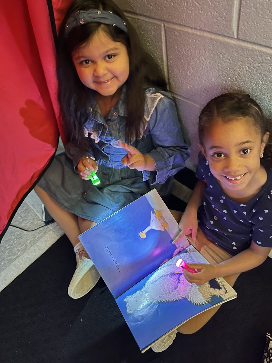 MrsTsClubhouse's tweet photo. Flashlight Friday in full effect! #readingtoself #readingtosomeone #readingisfun π¦π @VincentFarmBCPS https://t.co/FvG5PtVbWz