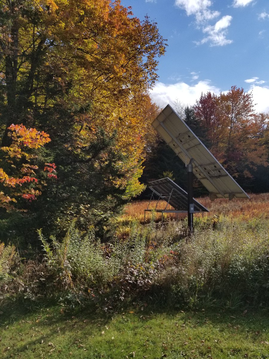 Vermont today
This world is so heartbreakingly beautiful.  Thanks to all who work on its behalf