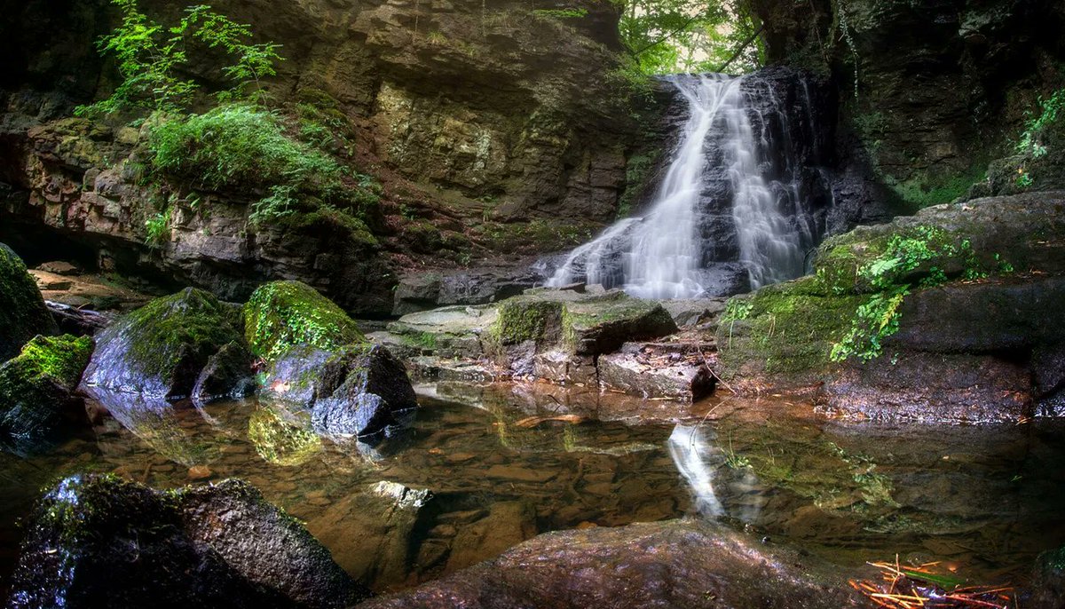 NlandNP's tweet photo. Guided Walk to Wellbeing: Woodlands &amp; Waterfalls in Bellingham. 
Join our #WalkToWellbeing, a gentle introduction to walking in #NorthumberlandNationalPark, on Friday 14th October, &amp; explore Hareshaw Linn. 
Duration: 3 hours
Distance: 3.5 miles
Book here: https://t.co/gDWPtCASoR https://t.co/F19sVCYWno