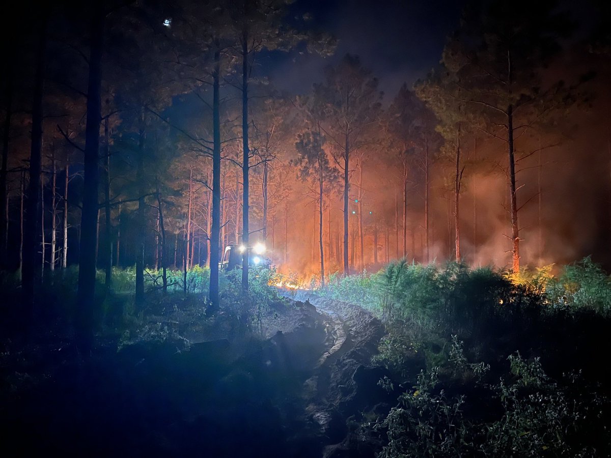 Yesterday, Texas A&M Forest Service responded to 7 wildfires for 50.5 acres burned. 🔥 Stay wildfire aware this weekend! Use caution with any activity that can cause sparks. 📷 Morris Co. Fire on 10/4. Photo by K. Matthews. Credit: Texas A&M Forest Service.