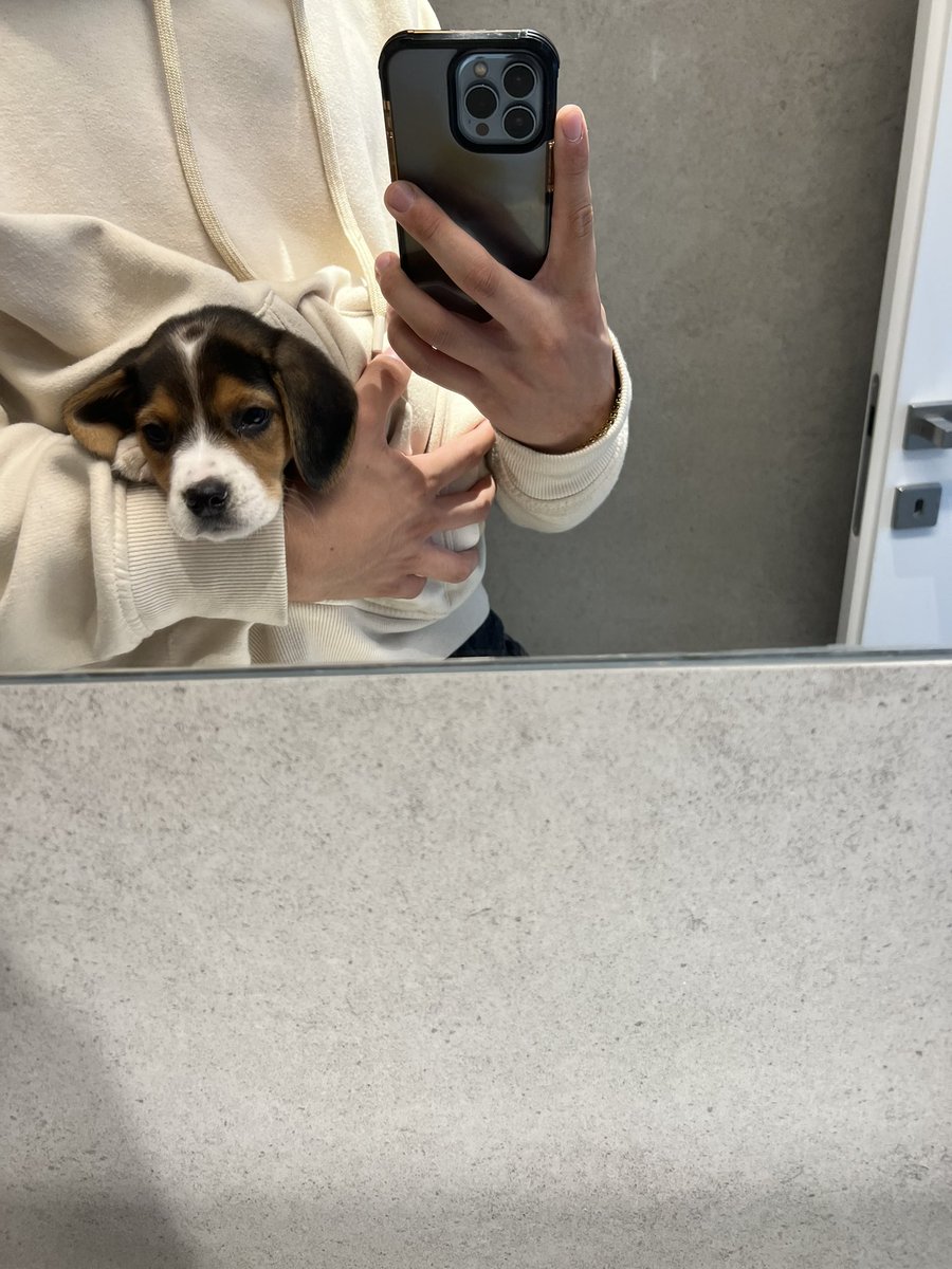 Ola amigos, apresento vos o Biggie