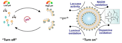 ACS Applied Materials & Interfaces (@acs_ami) on Twitter photo Article Highlight from ACS Applied Materials and Interfaces. This new ASAP article presents dissipative self-assembly as an efficient multienzyme mimetic platform <a href="/iiscbangalore/">IISc Bangalore</a>. #ACSAMI #Nanozyme #dissipative #Assembly go.acs.org/2pD Article Highlight from ACS Applied Materials and Interfaces. This new ASAP article presents dissipative self-assembly as an efficient multienzyme mimetic platform <a href="/iiscbangalore/">IISc Bangalore</a>. #ACSAMI #Nanozyme #dissipative #Assembly go.acs.org/2pD