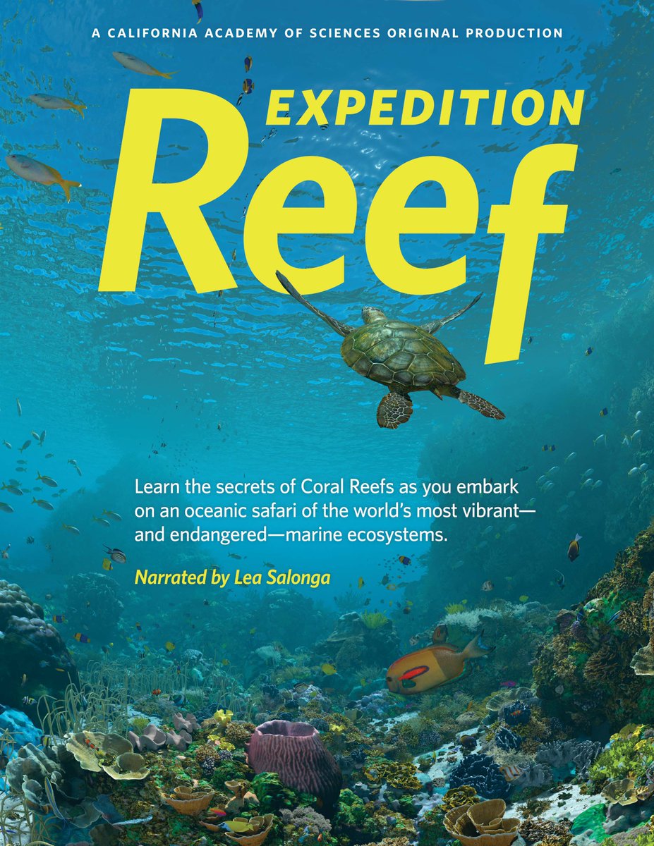 We are premiering a new show this weekend! Expedition Reef takes us on a journey through oceanic ecosystems. See it on Fridays and Saturdays at 8 pm throughout this month! The show was funded thanks to the support of the Friends of the Staerkel Planetarium.