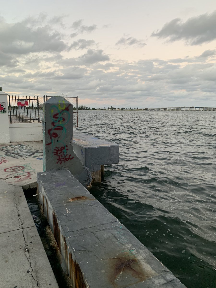 Ατιéτicο 𝕄𝕀𝔸𝕄𝕀 tweet media