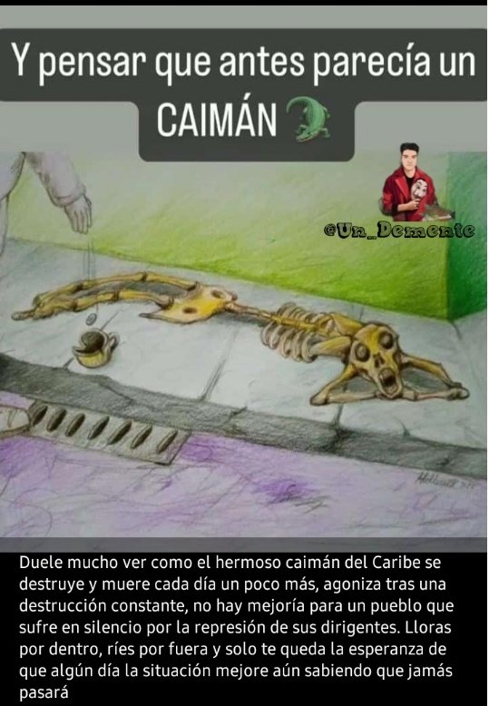 Un Demente tweet media