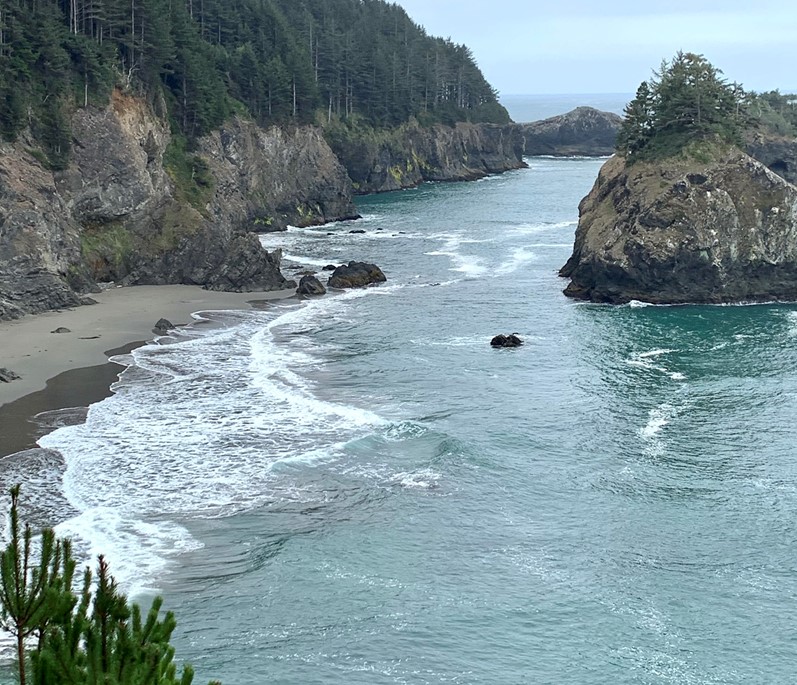 ODFWMarine's tweet photo. $900,000 in grant opportunities for Oregon nearshore key species monitoring and research. 

Applications are open; Dec. 1 deadline. https://t.co/H9Edo4k5Rc

More info: https://t.co/KFNw4Dk181 https://t.co/8w2jMawYp5