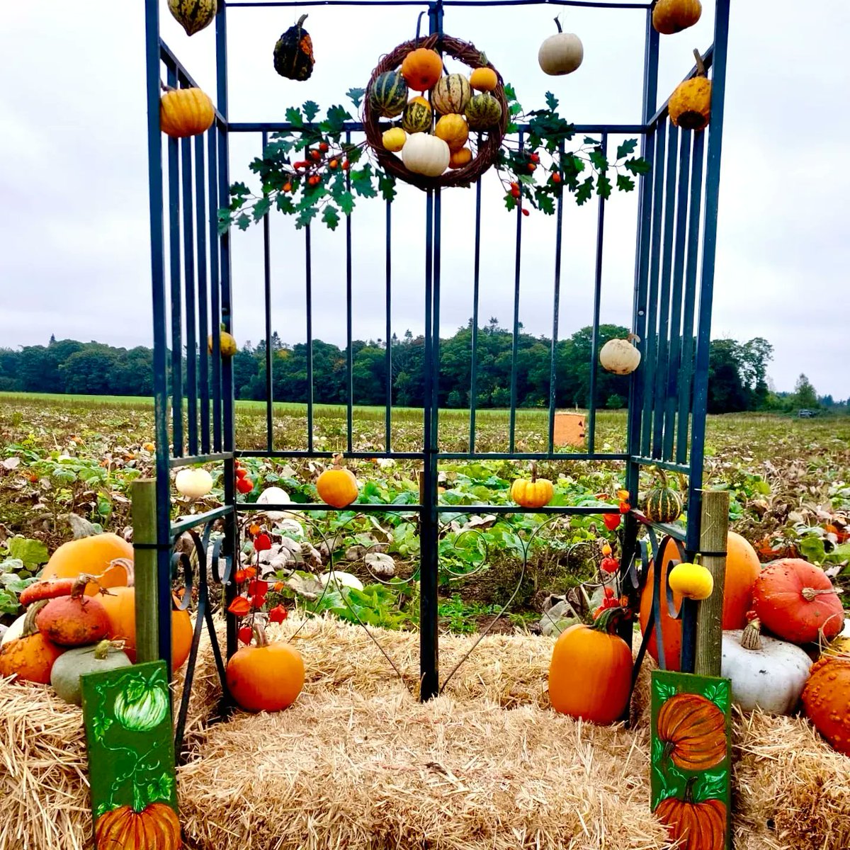 Pumpkins open this weekend from 9-5
Free entry, free parking, no booking needed
🎃
Last weekend for ArtworksEast at Blackthorpe Barn, free entry 10-5
Courtyard Café open daily 10-4
🎃
And why not book a craft workshop with your child over half term?
🎃
linktr.ee/roughamestate