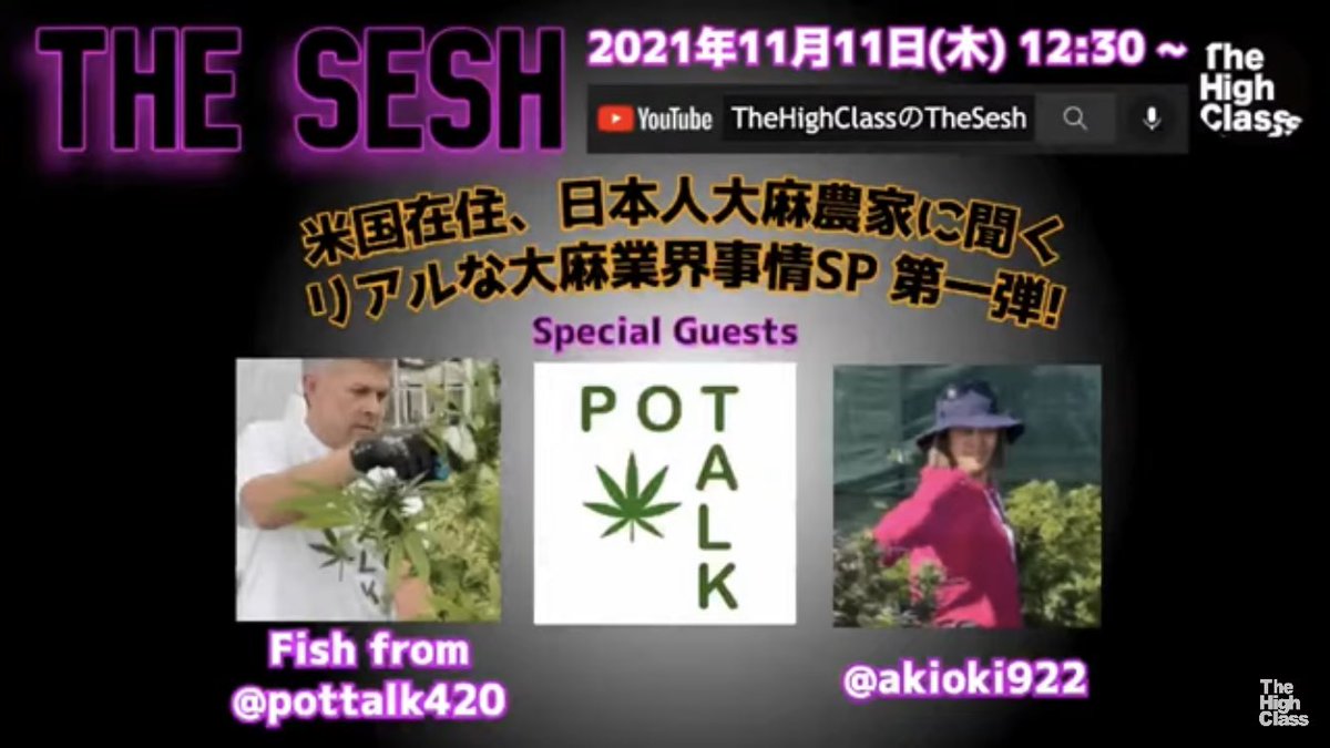 Japanisnotdying's tweet image. #TheHighClass #Cannabis 
#LegalizationinAsia #大麻解放戦士

【TheSesh】
米国在住、日本人大麻農家に聞く リアルな大麻業界事情SP 第1弾!
@akipottalk420 

▶️ youtu.be/2ynFO0qLMDg 

@TheHighClass_jp 
@KaoruTHC