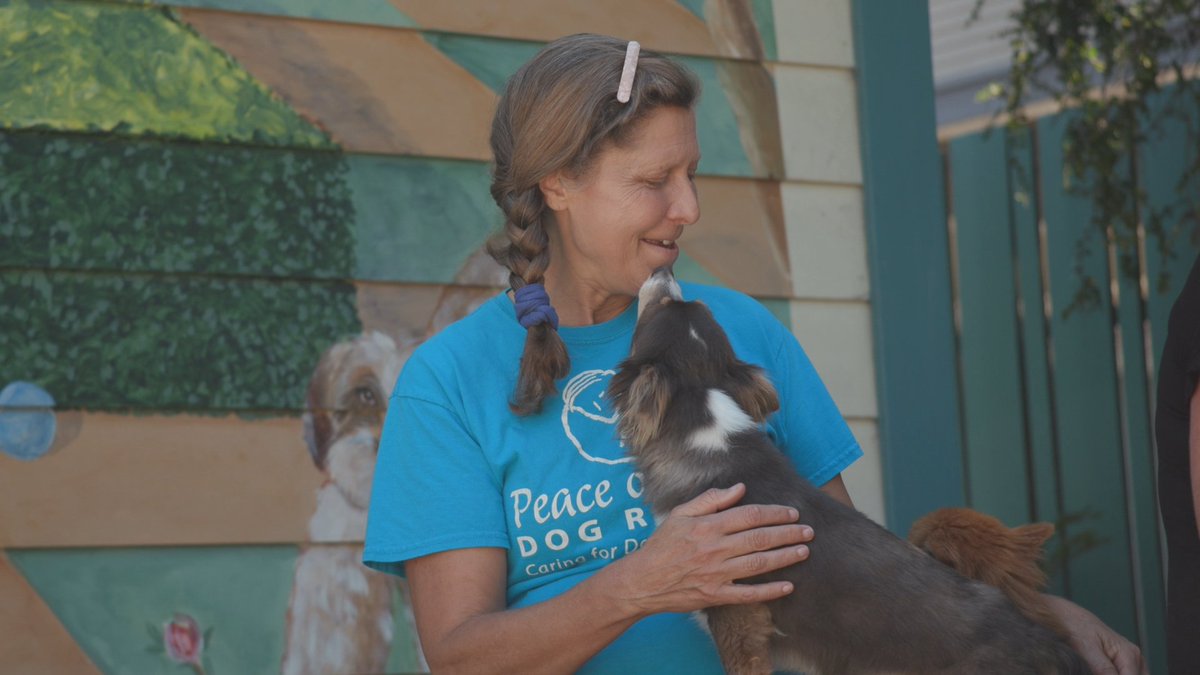 60 Second Docs on Twitter: