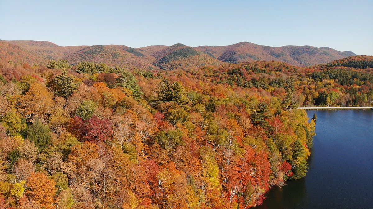 labry_de's tweet photo. This is what foliage in Vermont currently looks like as of yesterday afternoon.
Taken in Killington, VT.
#Vermont @spann @JimCantore @WeatherNation @ReedTimmerAccu https://t.co/Jr2TFmWu7l
