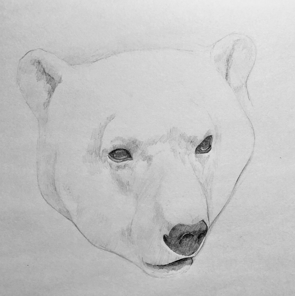 pencildrawing57's tweet photo. pencil drawing #pencildrawing  drawing #drawing pencil art #pencilart art #art artwork #artwork miniature #miniature animal #animal polar bear #polarbear 鉛筆画 #鉛筆画 https://t.co/kec3Z4yH6N