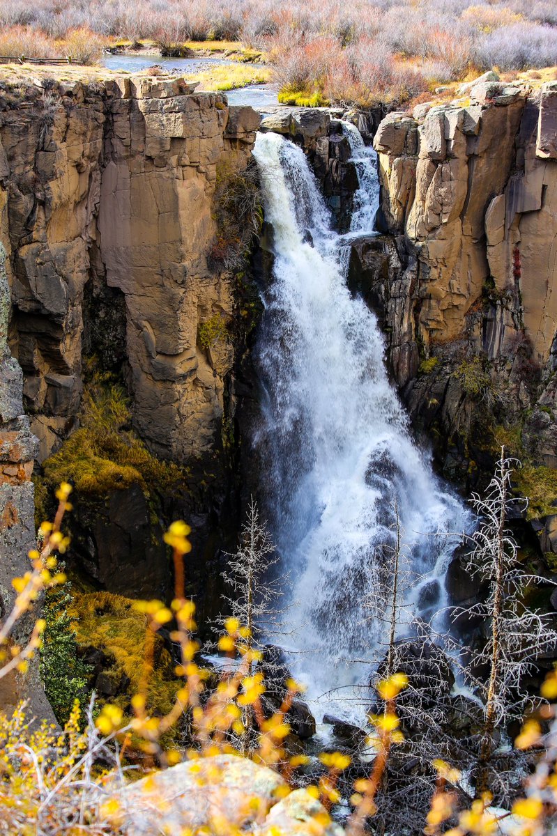 blowkane's tweet photo. it is fall, y’all
#visitcolorado #creede #creedecolorado #colorado #autumn https://t.co/jcUzZUCNU6