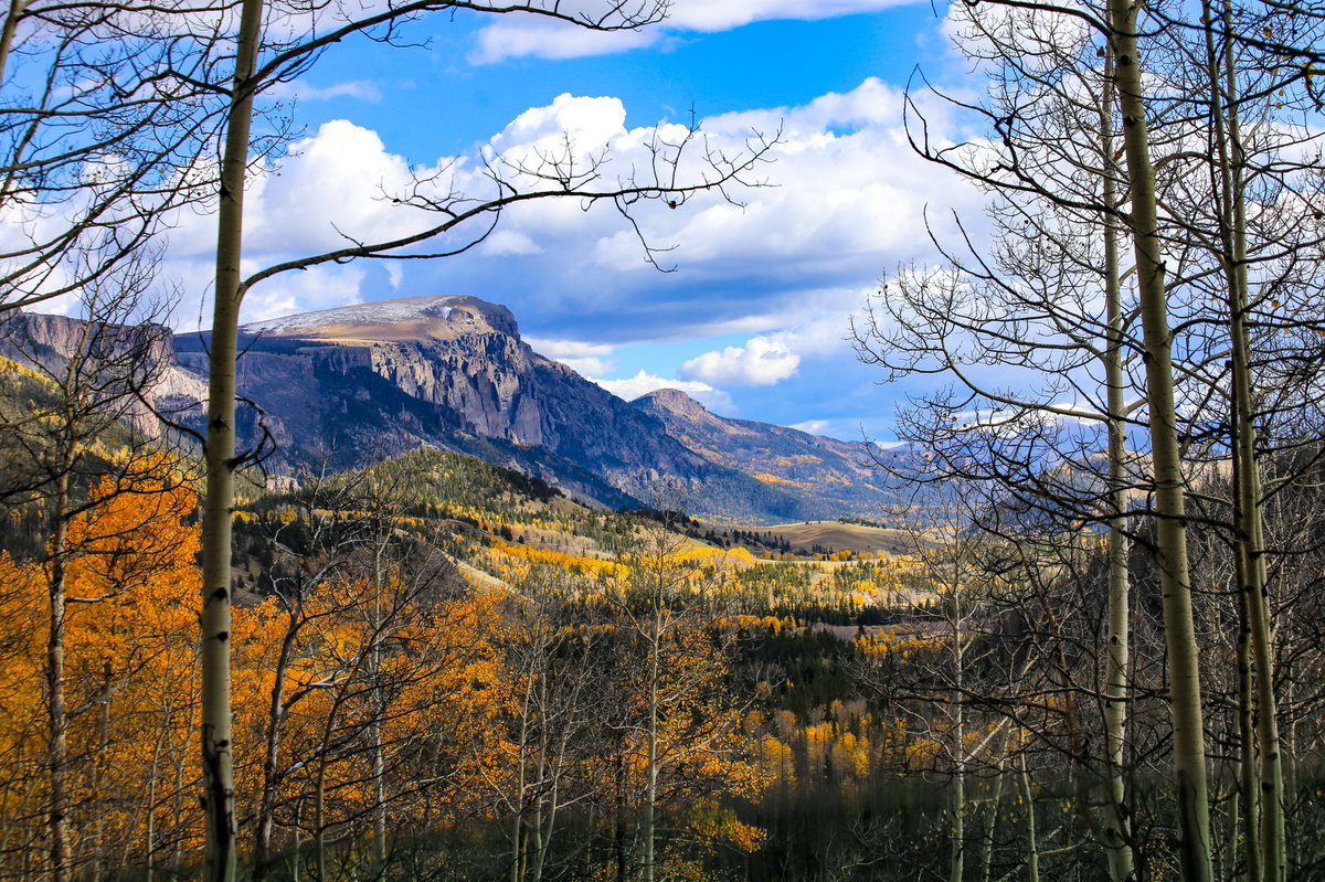 blowkane's tweet photo. it is fall, y’all
#visitcolorado #creede #creedecolorado #colorado #autumn https://t.co/jcUzZUCNU6