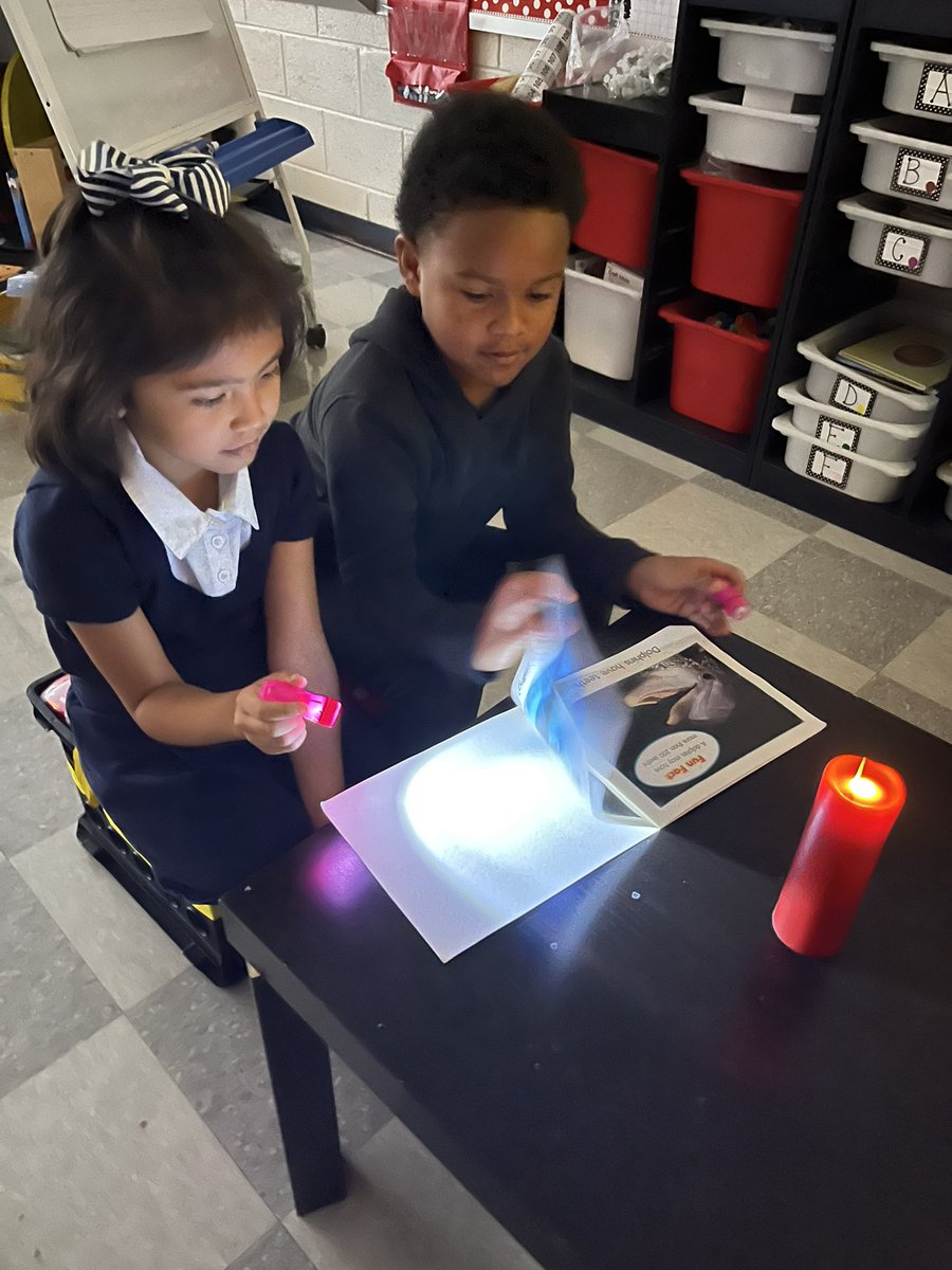 MrsTsClubhouse's tweet photo. FLASHLIGHT FRIDAY! Building our reading stamina! 🔦🥰 @VincentFarmBCPS https://t.co/ZyAVVx9cli