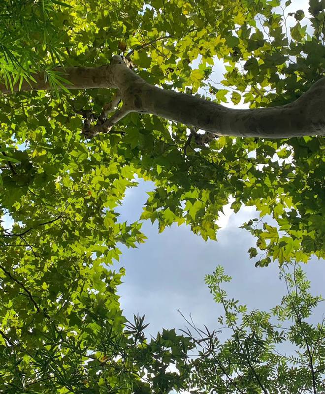 CR6846's tweet photo. Your current pressure comes from the lack of self-discipline, just pretending to work hard, the status quo cannot keep up with your inner desires, so you are anxious or even panic. https://t.co/EXZg8Z76uN