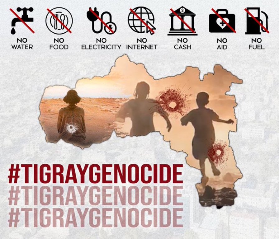 Neil_Sarmstrong's tweet photo. @RedwanHussien The voice of reason are the countries who voted yes against the ruthless siege on the Tigray people by their own government. @martinplaut @RAbdiAnalyst @NorwayUN @SecBlinken @LindaT_G @BBCAfrica @cnni @AFP @AJENews https://t.co/gG5R0TT3f7