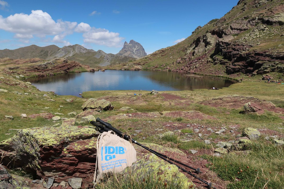 idibgi's tweet photo. ☀️📸Acomiadem la calor tancant el concurs d'Estiu de l'IDIBGI!

🏔La guanyadora és la nostra companya Montse, amb una foto del paisatge d'Ibones de Anayet, i el Pic de Midi d'Ossau de fons.

🙌El premi, un lot de productes dels Amics de @noel_1940 i el @Soparmiralls . Enhorabona! https://t.co/9GC1tEtkP9