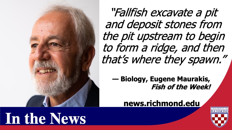 URNews2Use's tweet image. Tweet 5 of 5: Biology professor Eugene Maurakis is interviewed in this Fish of the Week! podcast about #fallfish usfwsalaska.libsyn.com/fallfish-feat-…