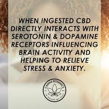 CryptoJunky95's tweet photo. CBD anxiety information 

#cbd #cbdelicious #cbdeliciousness #cbdworld #cbdtime #cbdthoughts #CBDwellness #cbdmovement #cbdinfo #cbdtips https://t.co/cbvlIn2pbQ