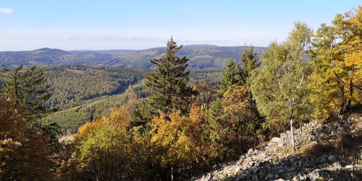maitre_tawaki's tweet photo. Another fine day spent riding in the huge #gravel playground of the #Thuringian #Forest. Tailwind under my feet added to the experience. https://t.co/GgCF1f971l