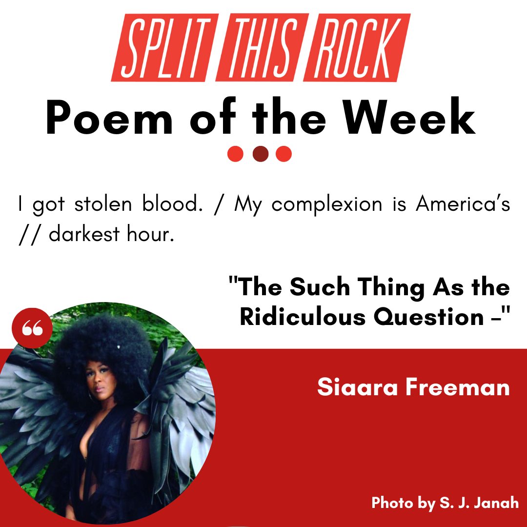 CW: chattel slavery; anti-Black violence

I got stolen blood. / My complexion is America’s // darkest hour.

Poem of the Week: “The Such Thing As the Ridiculous Question –" by Siaara Freeman. Poem as audio &amp; text: bit.ly/3M87b5L

#PoemoftheWeek #Poem #Poetry #Poets