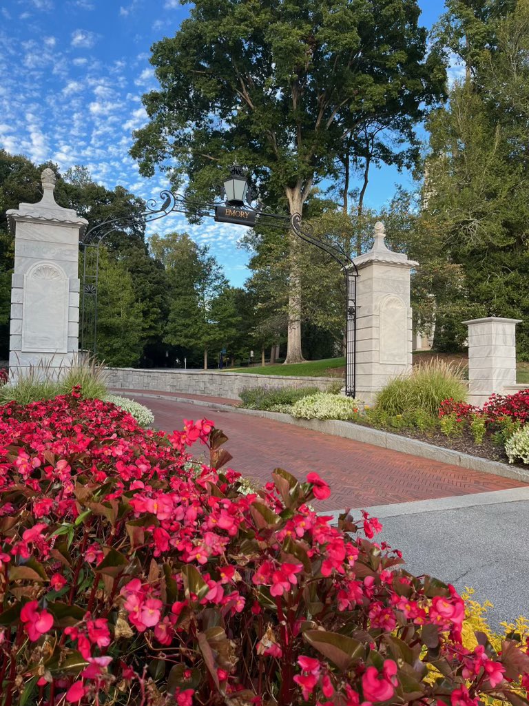 The Mould that Changed the World Musical 🎵 tweet media