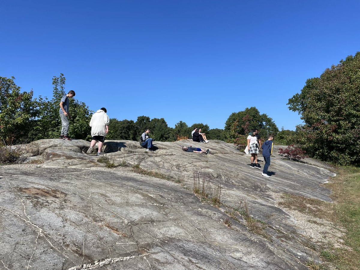 Samantha Sinico tweet media