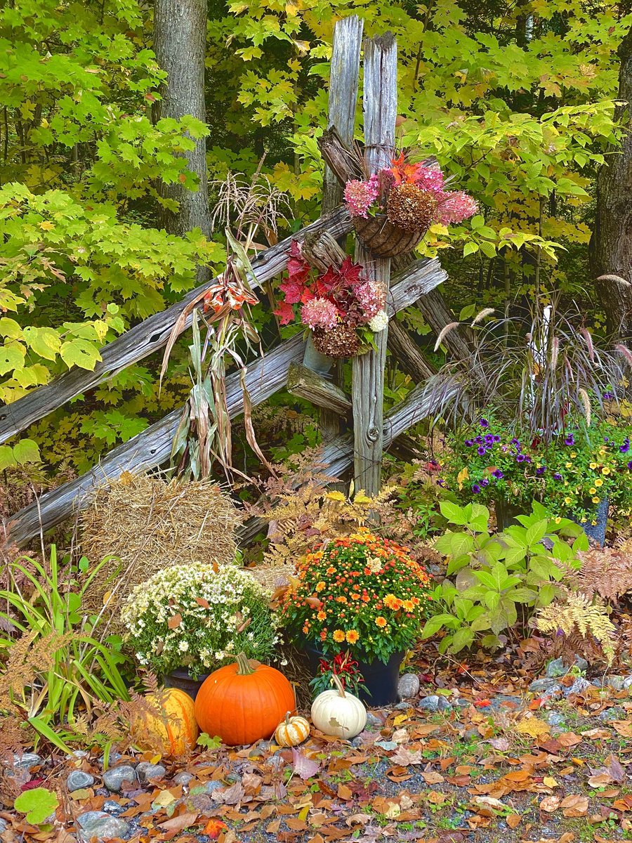 jenn1662's tweet photo. Wishing everyone a happy Thanksgiving.

From our home to yours 😘😘

#Muskoka #happythanksgiving #grateful https://t.co/yTiUXIYpNB