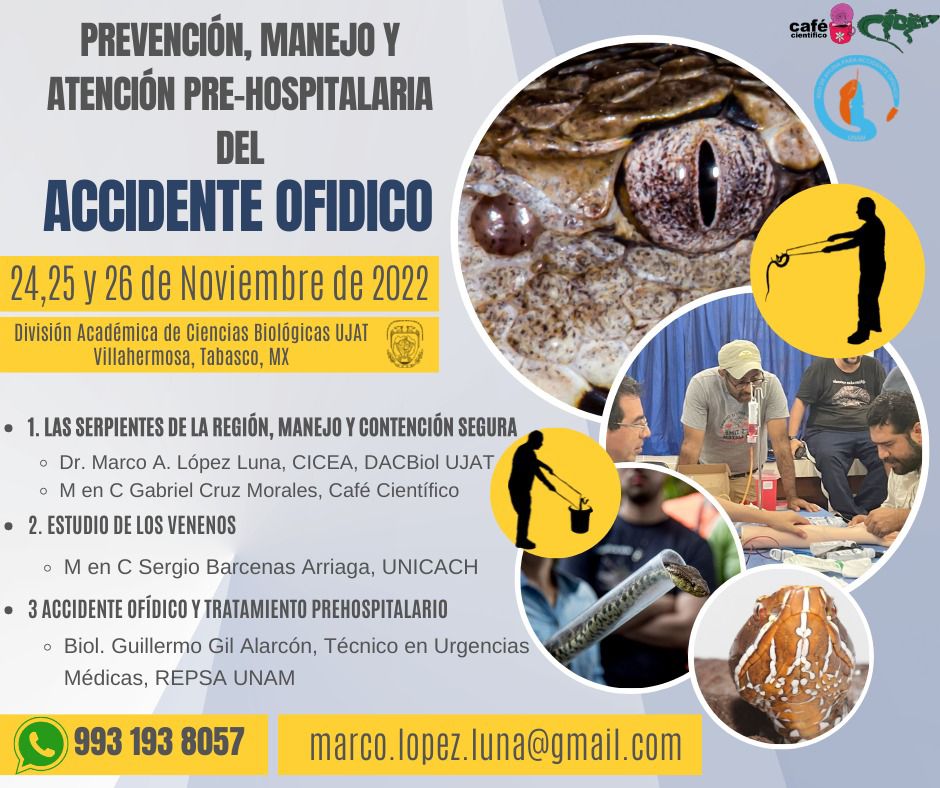 Herpeto_cosas's tweet photo. ⚠️ATENCIÓN TABASCO⚠️

~Prevención, manejo y atención pre hospitalaria del accidente ofídico~

Curso abierto a todo público que esté en contacto con serpientes.

En Villahermosa, Tabasco, próximo noviembre.

Más información en teléfonos y correos que aparecen en la imagen.

🐍✌️😎 https://t.co/P3ek0pCXaG