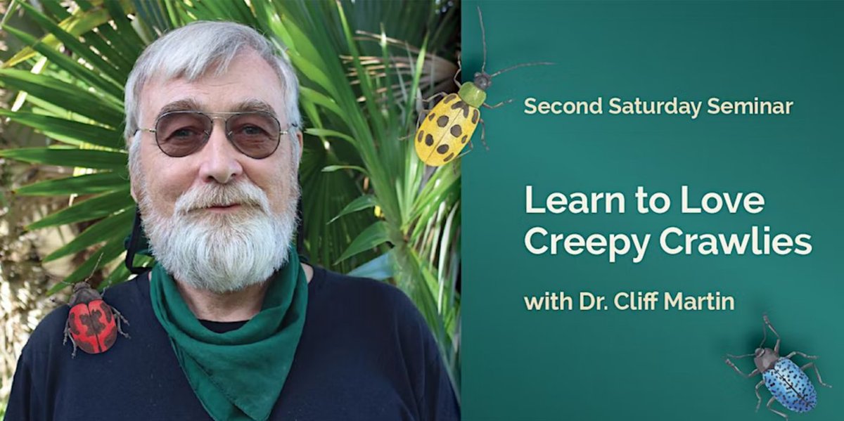 Join Dr. Cliff Martin, a botanist in Dr. <a href="/ZackBrym/">Zack Brym</a>'s Agroecology lab, TOMORROW to learn more about #Insects and why we should 🧡them!

eventbrite.com/e/second-satur… 

#UFBugs