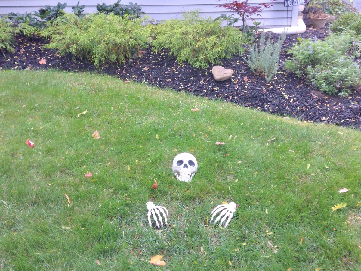 On todays 4 miler, the bones of Fairport, NY #OnTodaysRun #SeenOnMyRun #run #runner #running