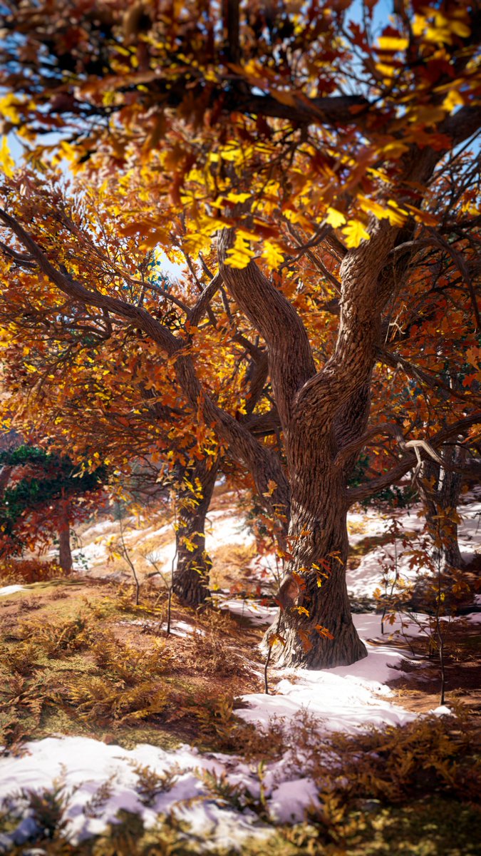 NovA1990's tweet photo. #TCCForests | @Captured_Collec
🎮- #AssassinsCreedValhalla
📷- Nvidia Ansel | Frans Bouma Photo Tools
🎨- Lightroom Classic
#VGPUnite #WorldofVP #VPRT #VPEclipse #TheCapturedCollective #VirtualPhotography #ACFinest #AssassinsCreed https://t.co/6dKd4Z5WdV