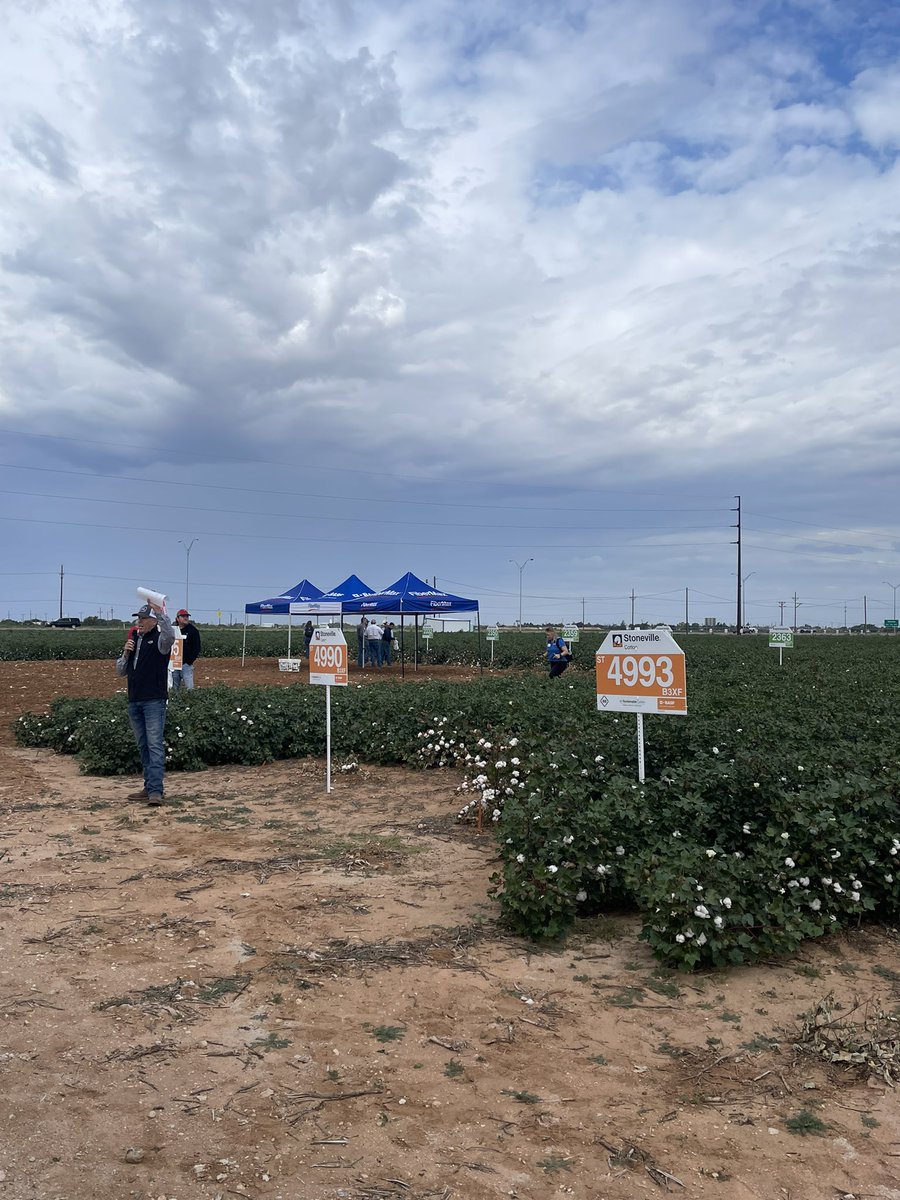 JDorsey_Ag's tweet photo. The latest in cotton innovation is happening here at #BASF! Yesterday you could feel the excitement for #Fibermax and #Stoneville.

#WorldCottonDay @BASFAgProducts https://t.co/PceWAedGXm