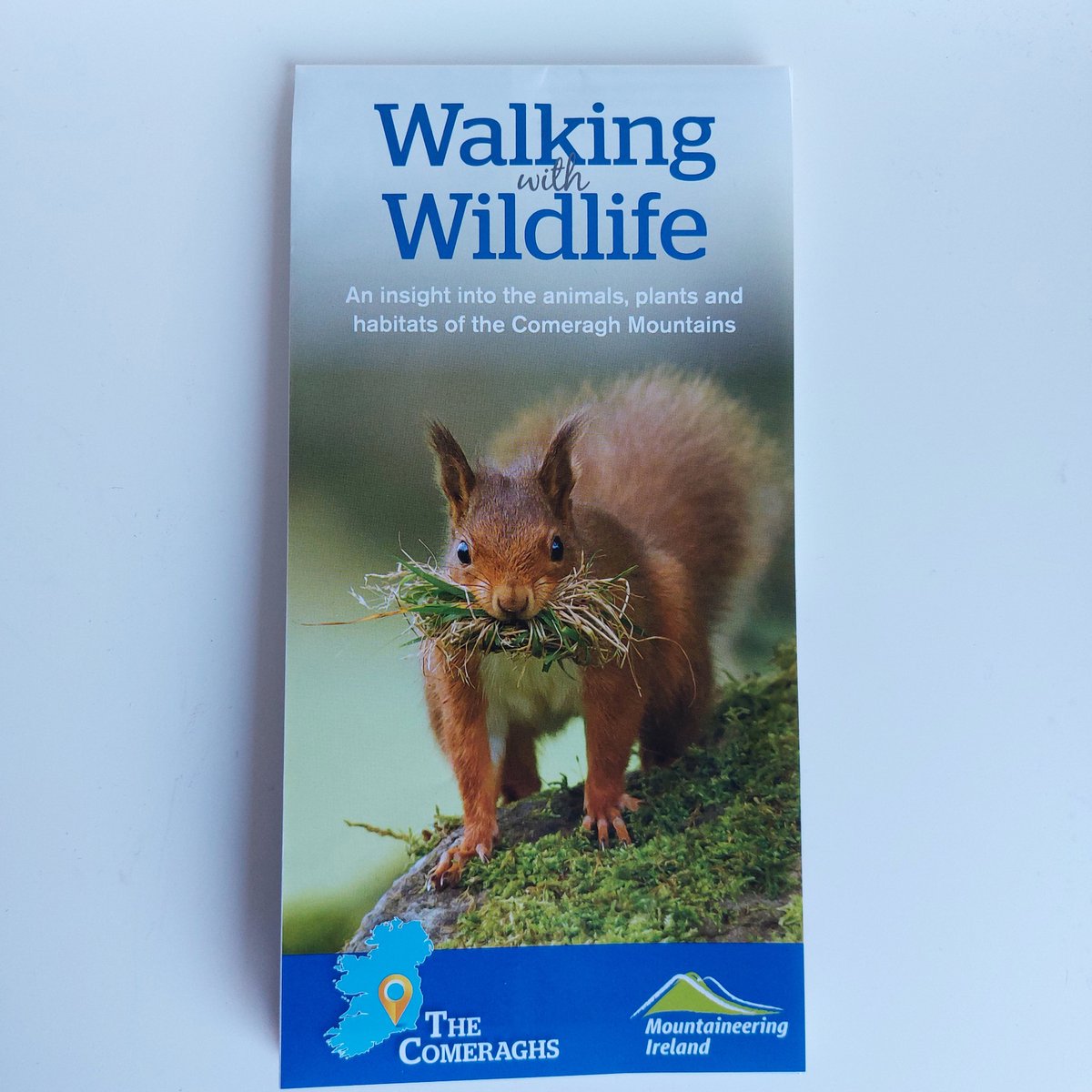 Muddyboots tweet media