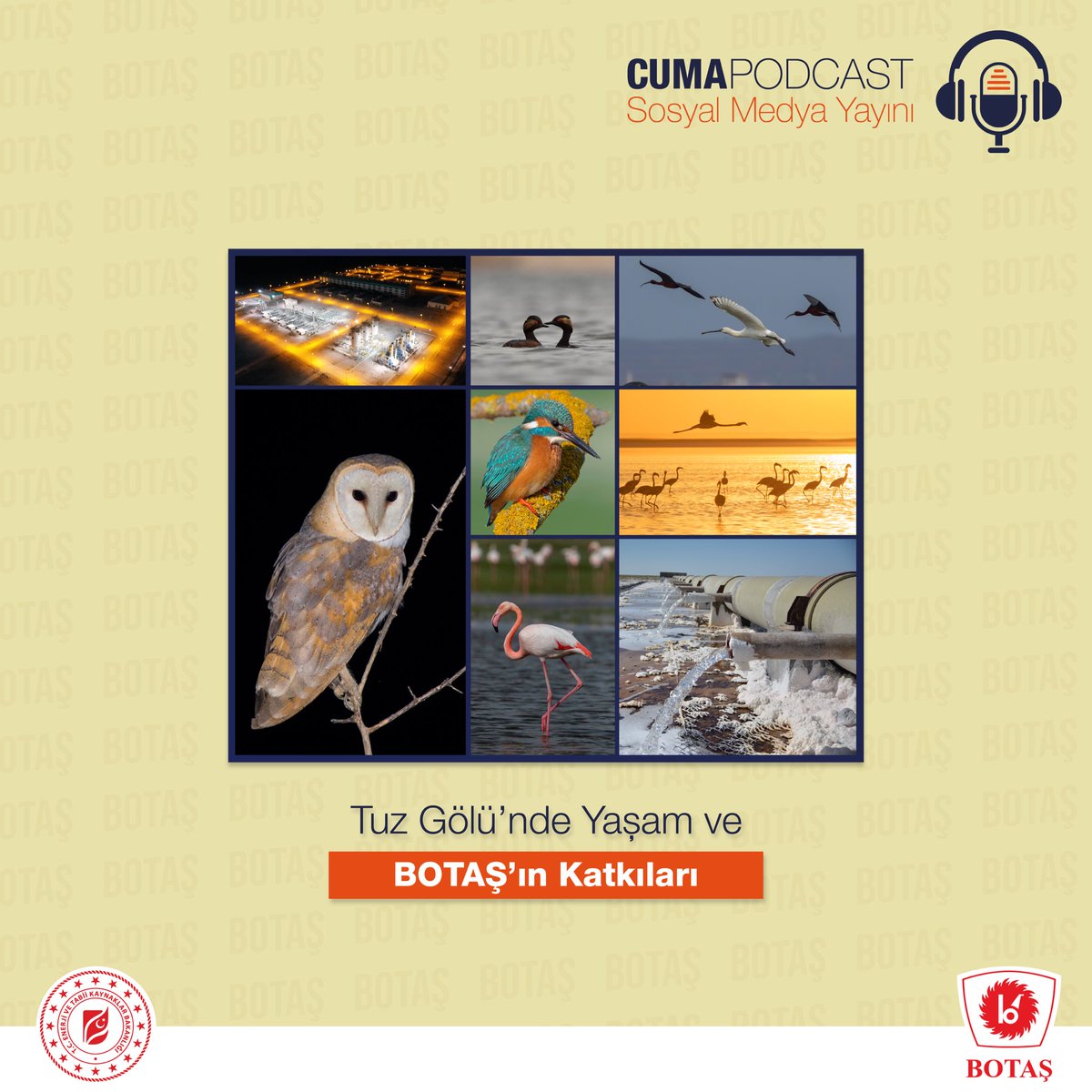 botastr's tweet photo. Cuma Podcastleri yayınımızın yeni bölümü ‘Tuz Gölü’nde Yaşam ve BOTAŞ’ın Katkıları’ yayında! 🎙 🎧
https://t.co/M9ujX4HXgy
#botastr
#BotaşCumaPodcastleri
#TuzGölü https://t.co/kFGkrHxXLZ