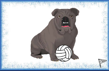 MascotDesigns1's tweet photo. Our women's VOLLEYBALL Mascot Match of the Day stars an all BULLDOG court as @HoyaVolleyball plays @ButlerVB tonight at 6pm πππ
#Volleyball #NCAAVB #d1vb #HOYASAXA #ButlerWay #Bulldogs #GoBulldogs #Hoyas #BIGEAST #CollegeVolleyball #FallForArt #BuyIntoArt https://t.co/tW6dnUewa6
