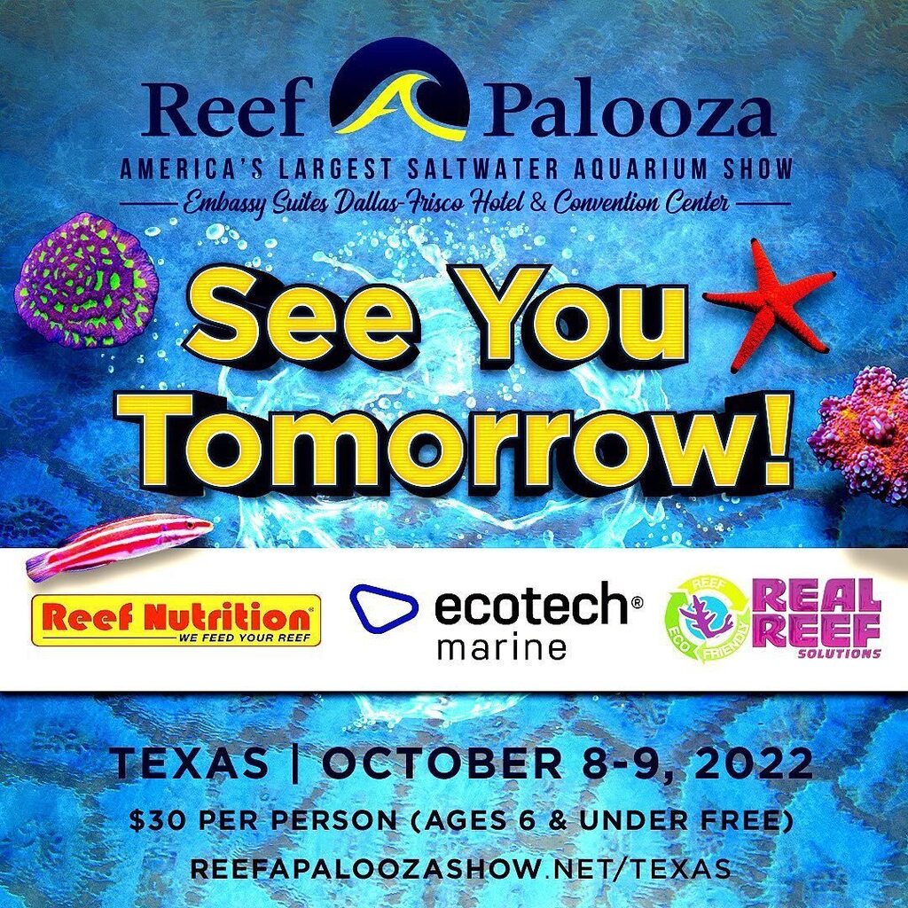 See you tomorrow Texas! 
.
.
#reefapalooza #reefapaloozatexas #reeftank #reefshow #saltwateraquarium #reefapaloozatexas #reefapalooza #coralreef #coraladdict #reefaddict #saltwater #saltwaterfishtank #allmymoneygoestocorals #brightwellaquatics instagr.am/p/CjarpWALsRg/