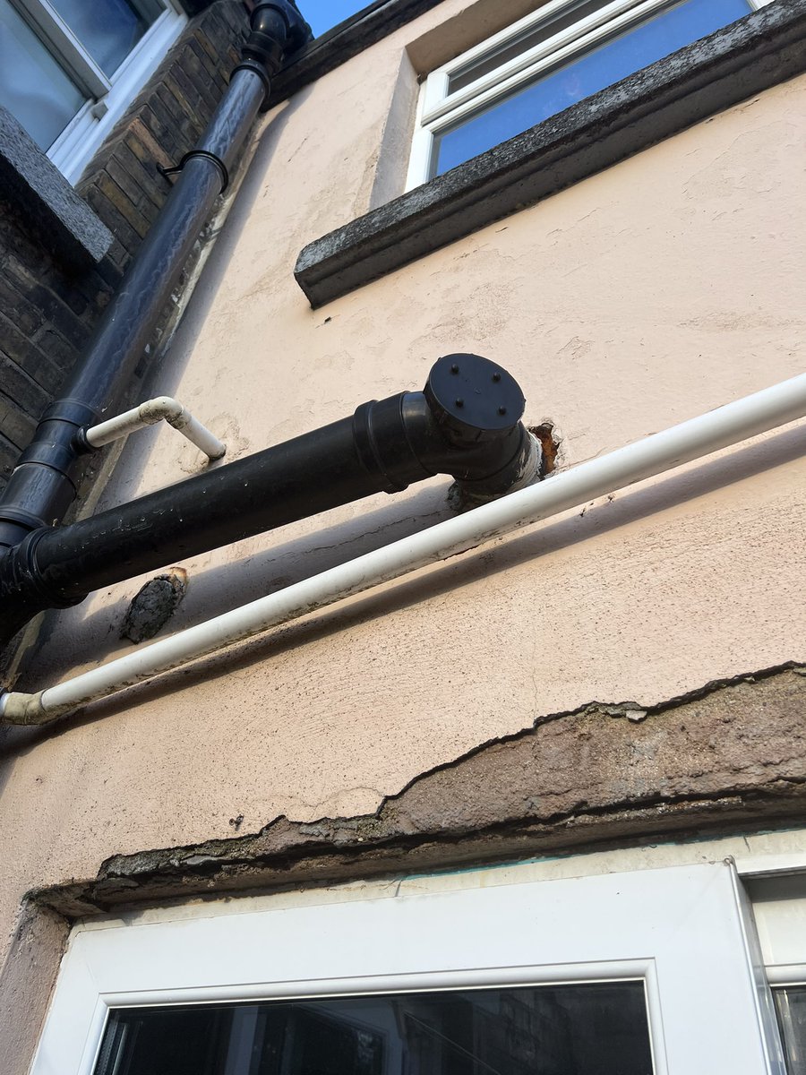 Seáneen Ní Shúilleabháin tweet media