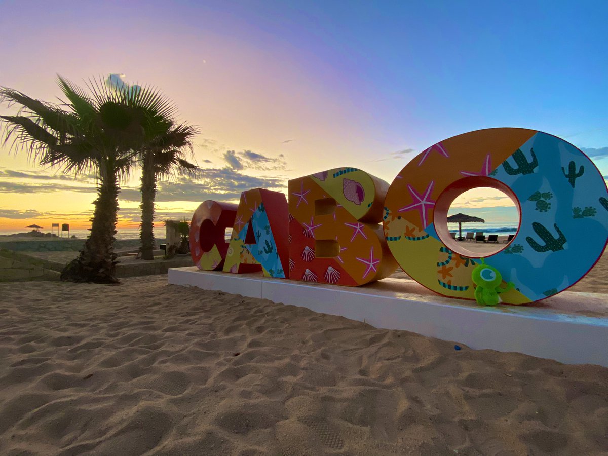 GoWP — Helping agencies grow and scale tweet media