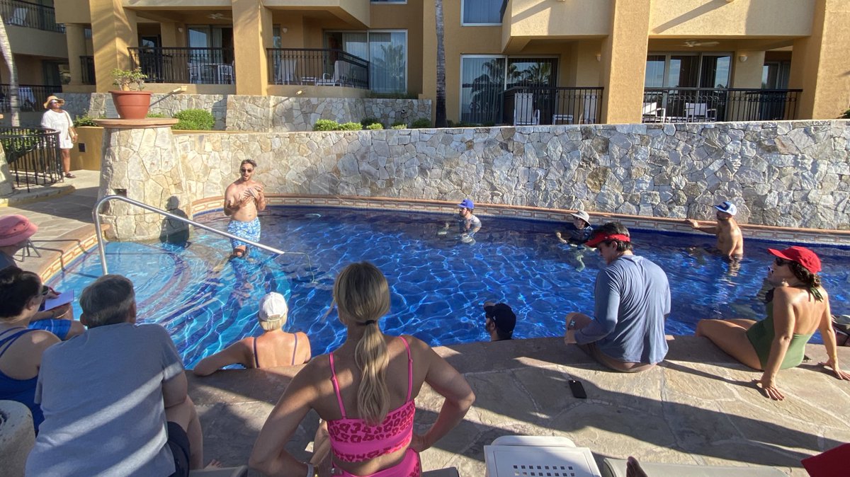 GoWP — Helping agencies grow and scale tweet media