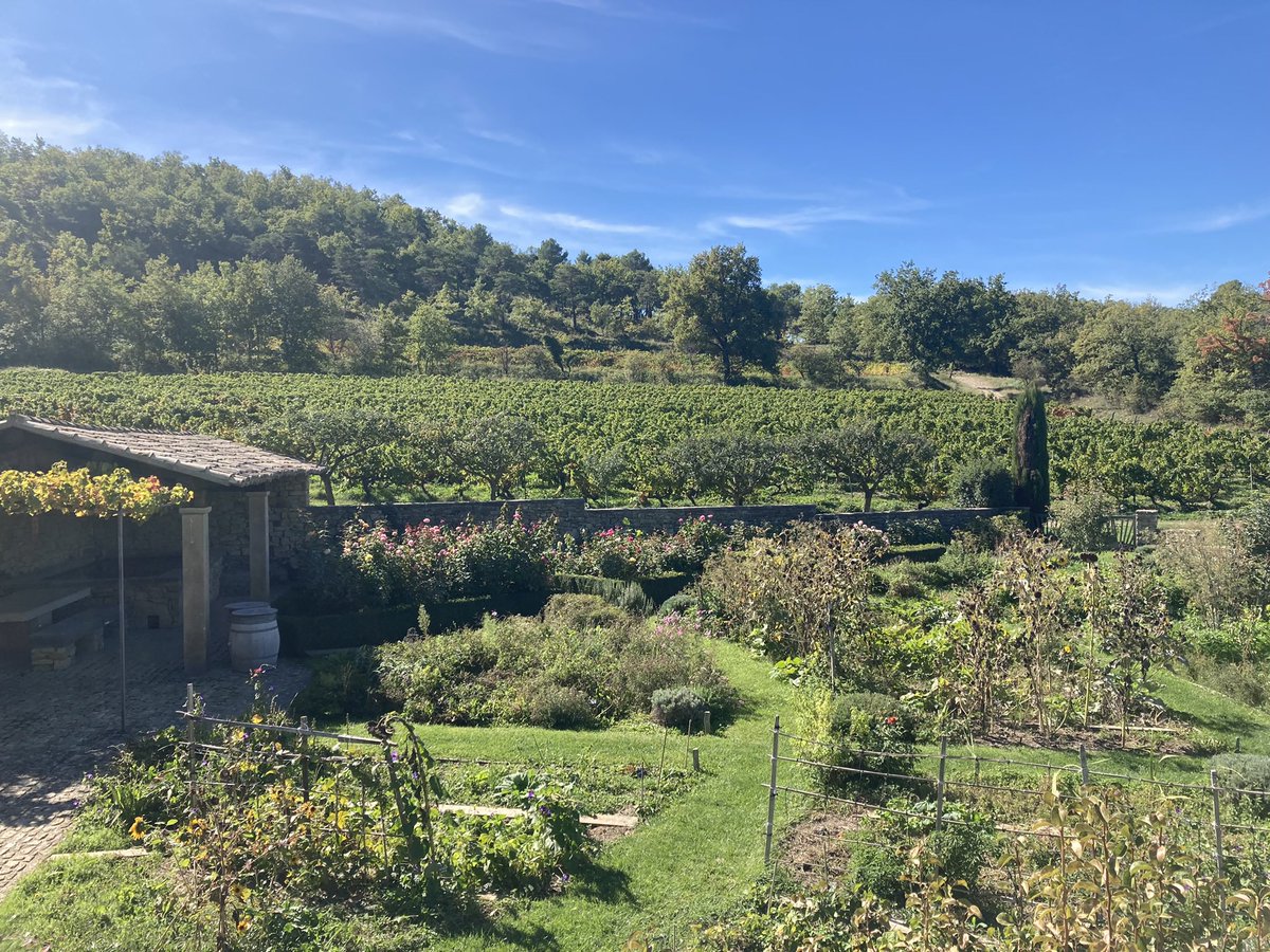 Mark Dearing tweet media