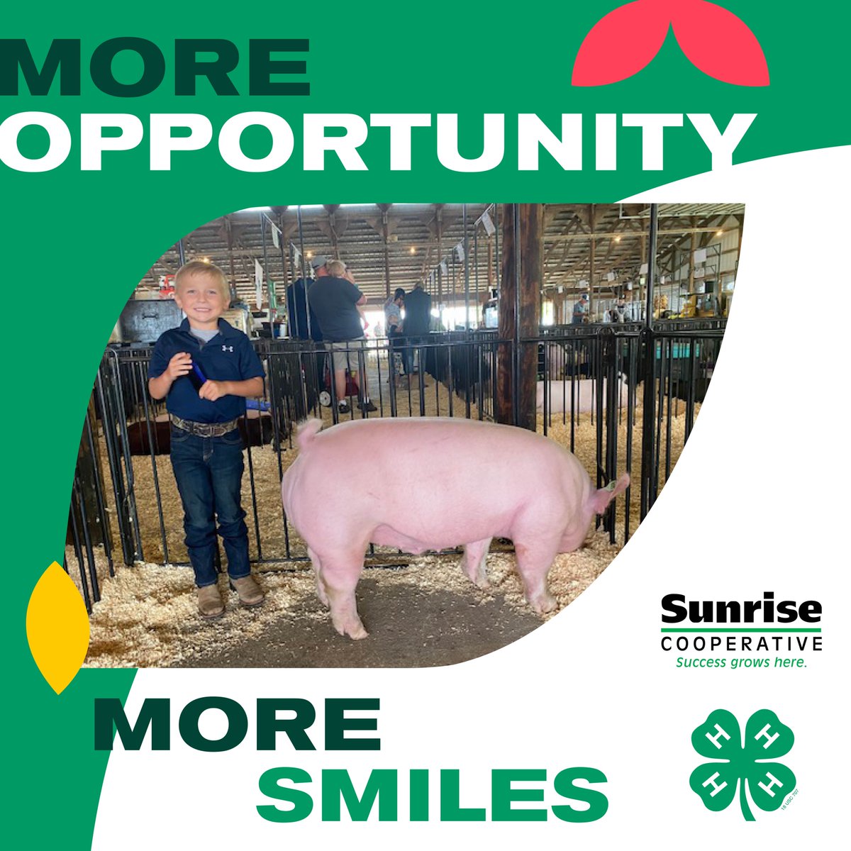 SunriseCoopOH's tweet image. Engaging, enabling, empowering over 6 million kids EVERY day...that's #4H! More opportunities, more smiles. Thanks for celebrating #National4HWeek with us...we are a proud sponsor of @Ohio4H.
#Ohio4H #YouthInAg #SunriseCooperative