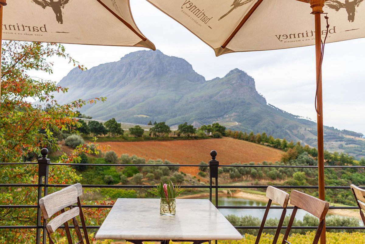 This view never gets old! As the days get longer &amp; signs of life and growth sprout up all around us, be sure to pop past the Tasting Shed this spring &amp; soak in our unrivalled setting as you enjoy a world-class tasting experience or a bottle of your favourite Bartinney wine.