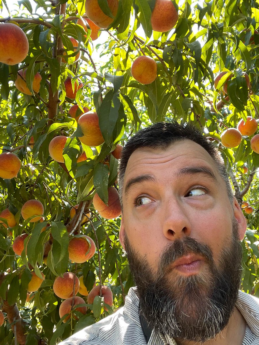 Studio_46_'s tweet photo. It doesn't matter if we're sitting around a farm table, standing under a canopy of peaches, or hanging out with the horse, #storytelling is at the core of every project we make.

Let us help you tell yours. https://t.co/6CsRQZgWbo

@MF_EAME 
#videoproduction 
@FlintGroup https://t.co/DpERndmwuz