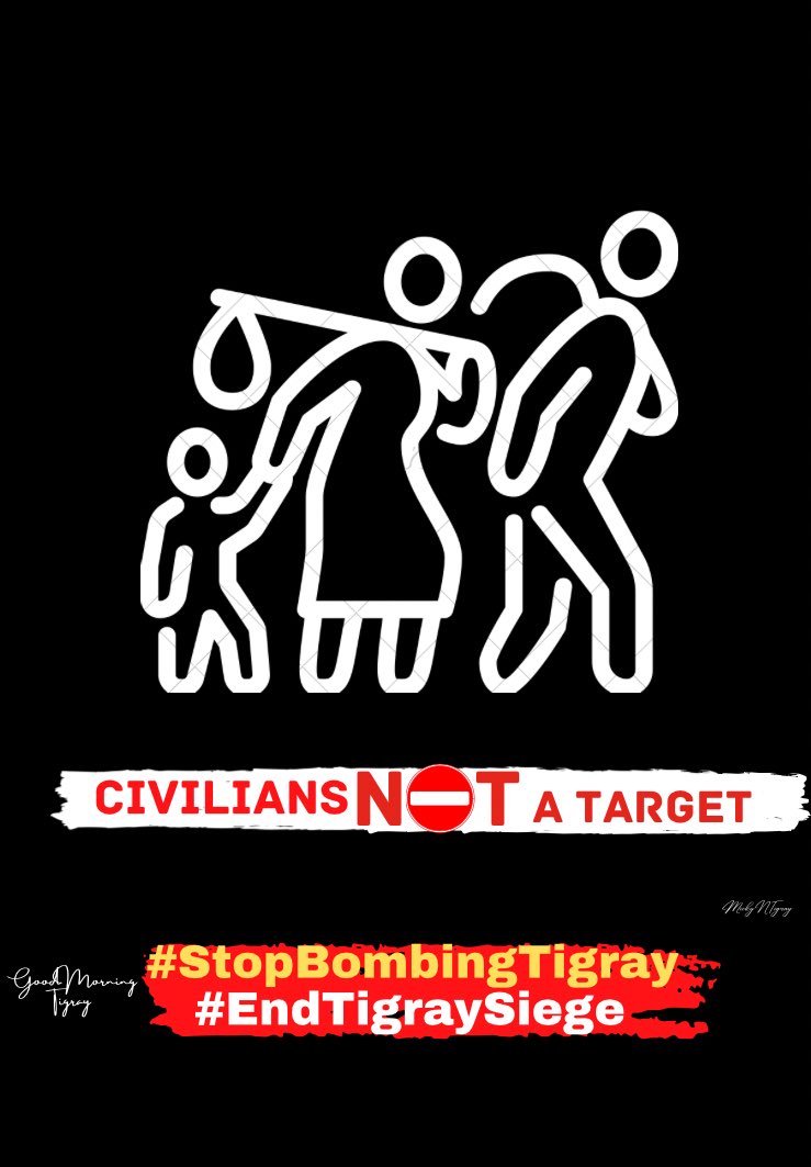 TDF_Tg7's tweet photo. Civilians under attack, noIChas officially condemned #Iran,the #UAE, and #Turkey for the📌 financing and sale of weaponized drones being used to target civilians. @EU_Commission @UN @StateDept @NATO @SecBlinken @POTUS @WilliamsRuto #StopBombingTigray #Kenya #StopWarOnTigray @TDF_ https://t.co/OFAGz9sLtg
